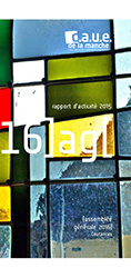 rapport d’activité 2015