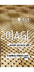 rapport d’activité 2019