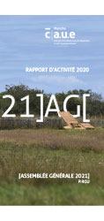 rapport d’activité 2020